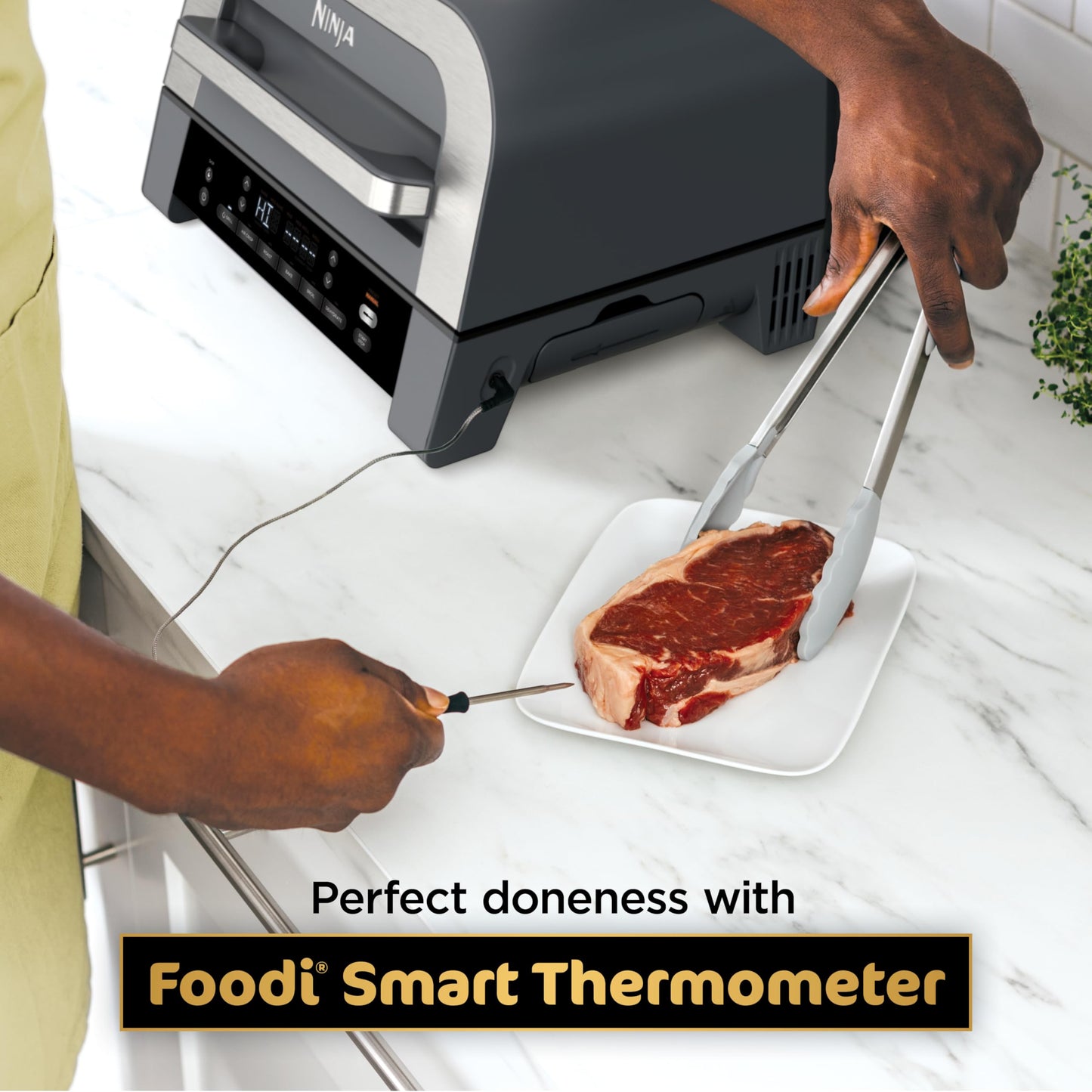 Ninja DG551 Foodi Smart XL 6-in-1 Indoor Grill with Air Fry, Roast, Bake, Broil, & Dehydrate, Foodi Smart Thermometer, 2nd Generation, Black/Silver