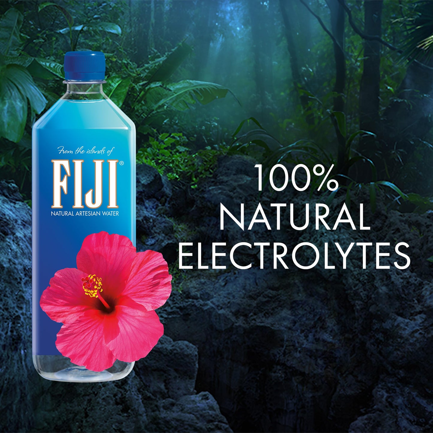 FIJI Natural Artesian Bottled Water 1 Liter / 33.8 Fl Ounce (Pack of 12) - 100% Natural Electrolytes