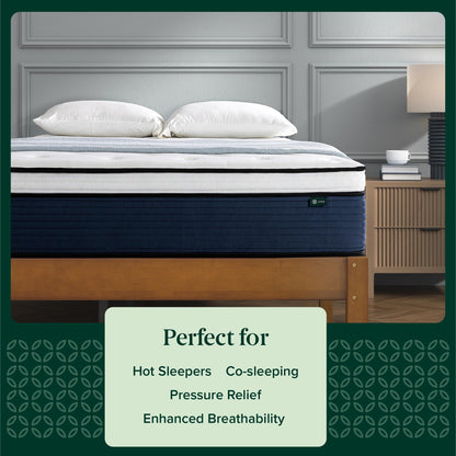 ZINUS 12 Inch Comfort Support Hybrid Mattress [New Version], Queen, Fiberglass Free, Medium Plush, Motion Isolation, Certified Safe Foams & Fabric, Mattress in A Box