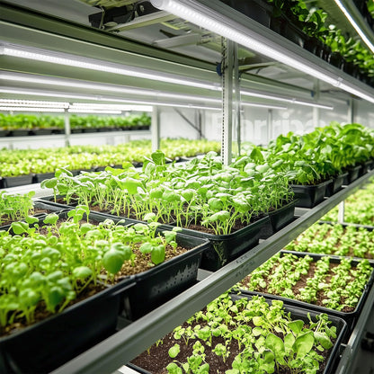 Barrina Plant Grow Light, 4FT 5000K Full Spectrum White, 252W(6 x 42W), T8 LED Grow Light, Growing Lamp Fixture, Plant Light for Indoor Plant, 6-Pack