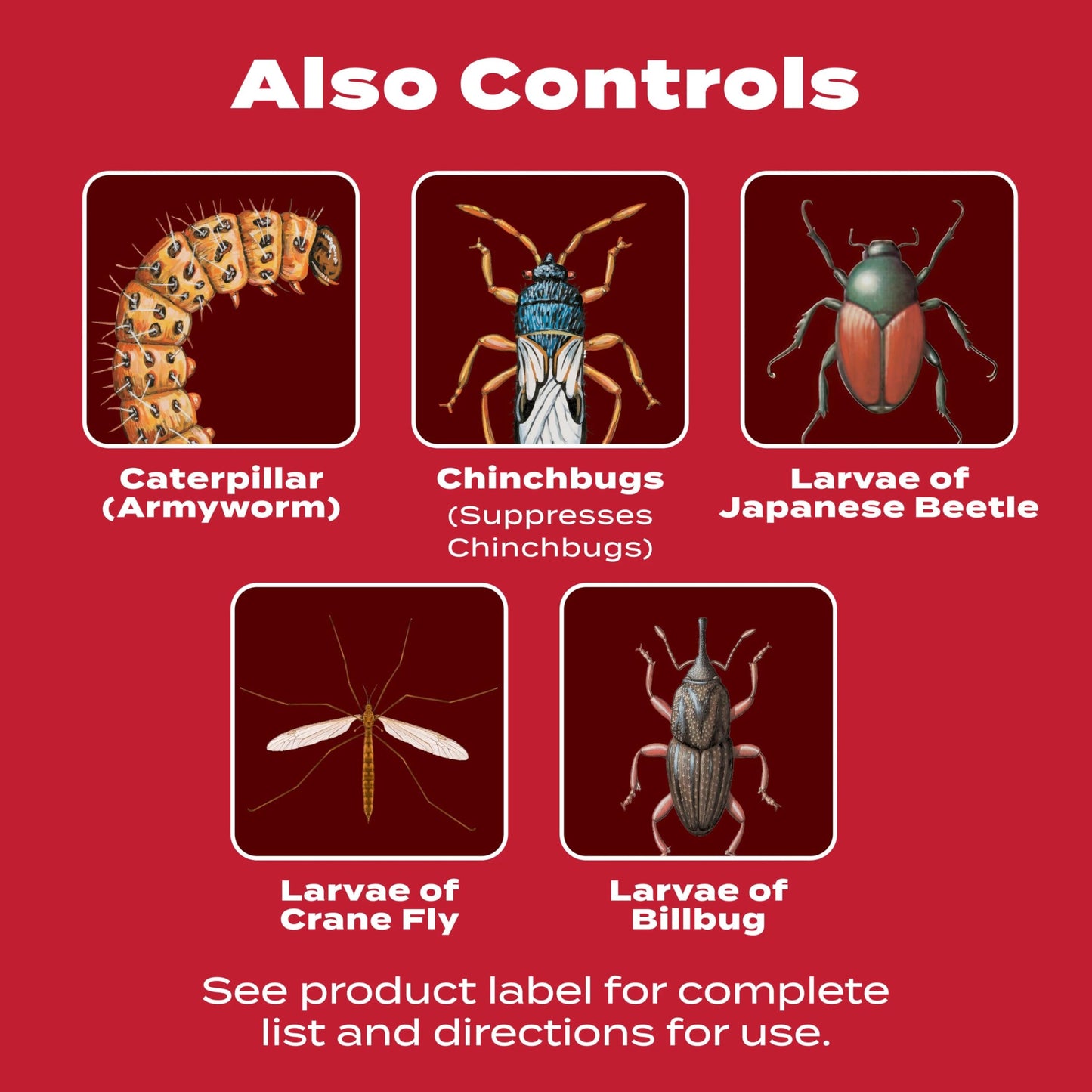 Scotts GrubEx1 Season Long Grub Killer, Protects Lawns Up to 4 Months, 5,000 sq. ft., 14.35 lbs.