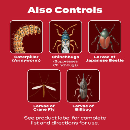 Scotts GrubEx1 Season Long Grub Killer, Protects Lawns Up to 4 Months, 5,000 sq. ft., 14.35 lbs.