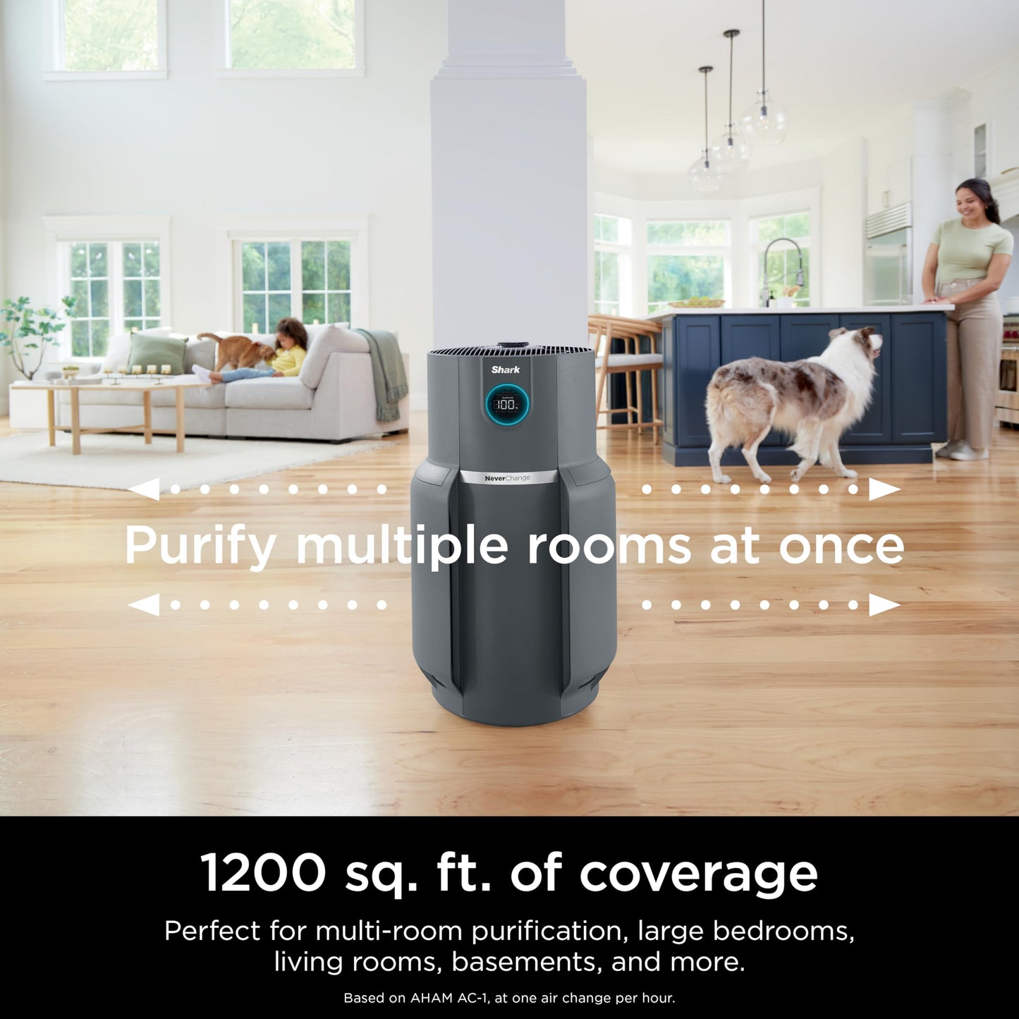 Shark Air Purifier for Home with NeverChange HEPA Air Filter, 1300 sq. ft. for Powerful Multi-Room Purification, 5-Year Filter, Filters Smoke, Captures 99.98% of Particles & Dust, HP301
