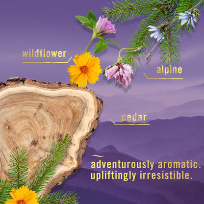 Touch Fabric Spray, Ocean & Mountain, 16.9 oz, Pack of 2