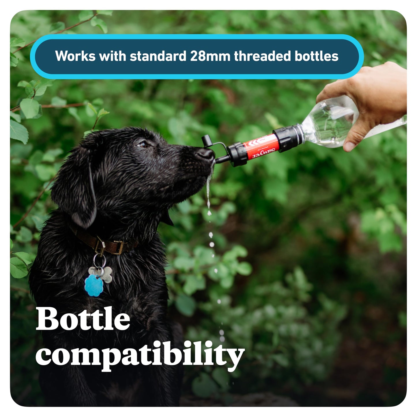 Sawyer Products SP3504 Mini Water Filtration System, Filter and Cleaning Plunger only, 4-Pack, Purple