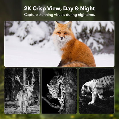 4G LTE Cellular Trail Cameras 2K 360° View Live Streaming Game Camera Built-in SIM Card with Motion Activated Color Night Vision Remote Phone Access Solar Powered Trail Camera IP65 Waterproof