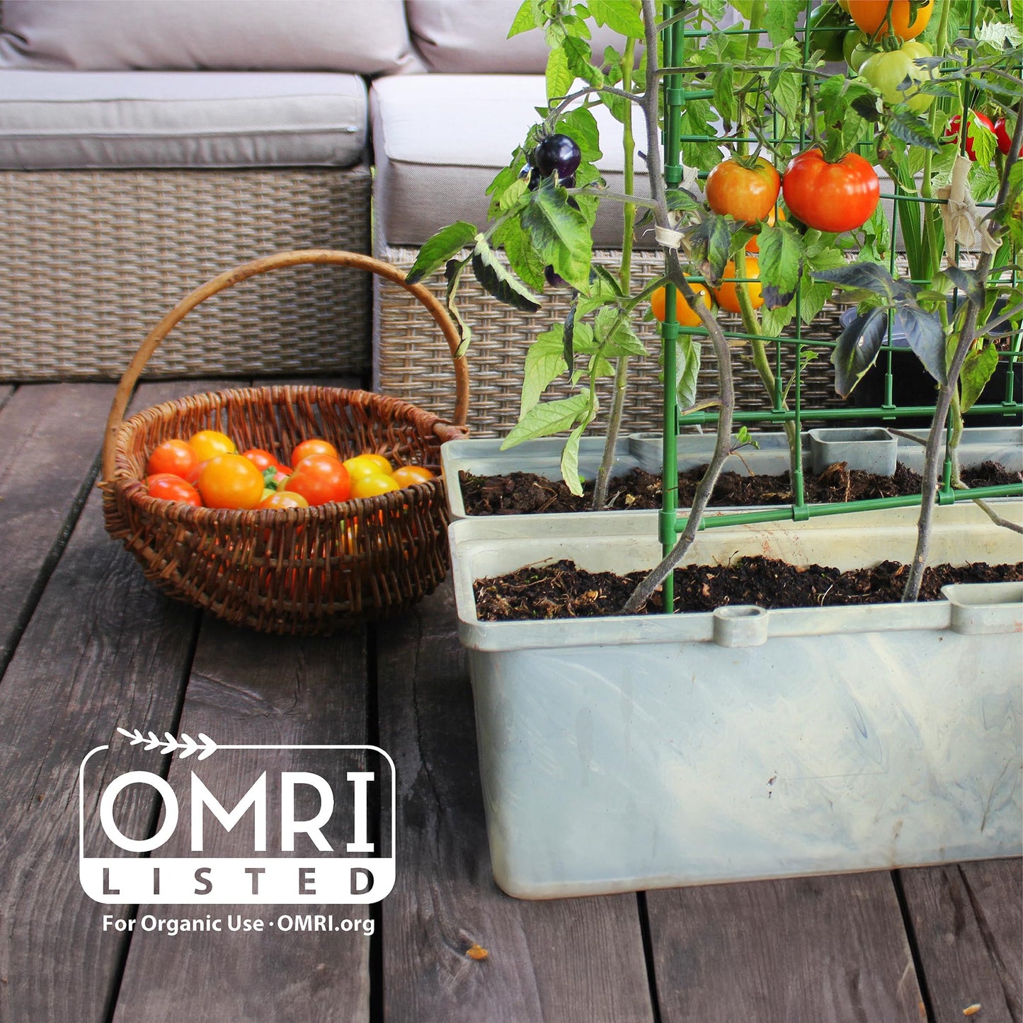 Back to the Roots Organic Coir, 51 Quart Expanding Soil, Great for Seeds and Potting