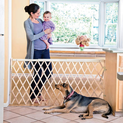 Evenflo Expansion Walk Thru Room Divider Gate