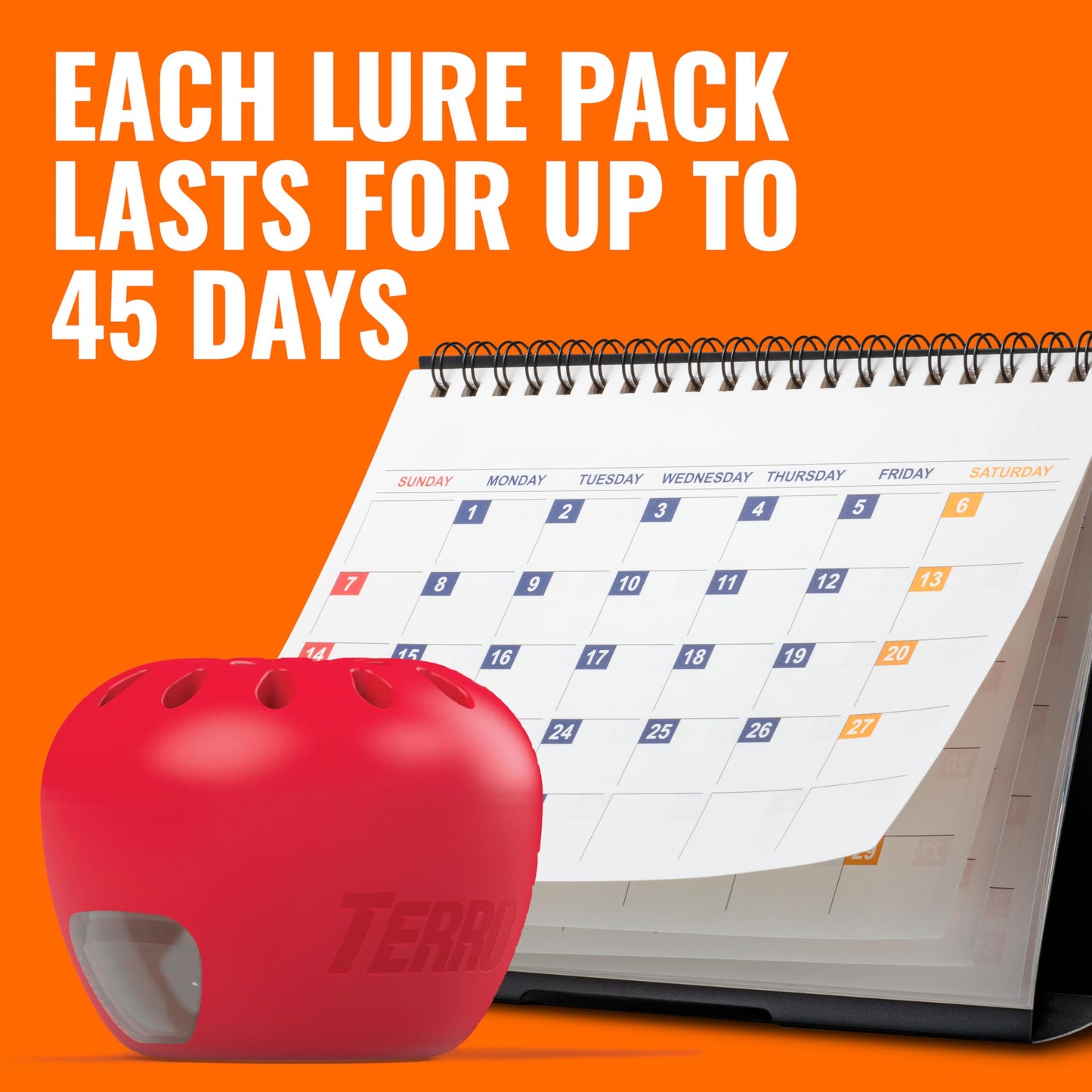 Terro Fruit Fly Traps for Indoors (6 Pack) + 270 Days of Lure Supply