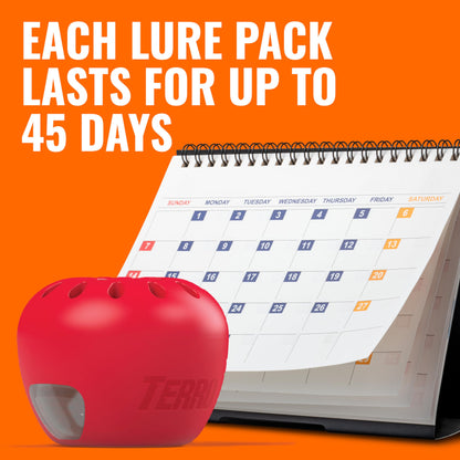 Terro Fruit Fly Traps for Indoors (6 Pack) + 270 Days of Lure Supply