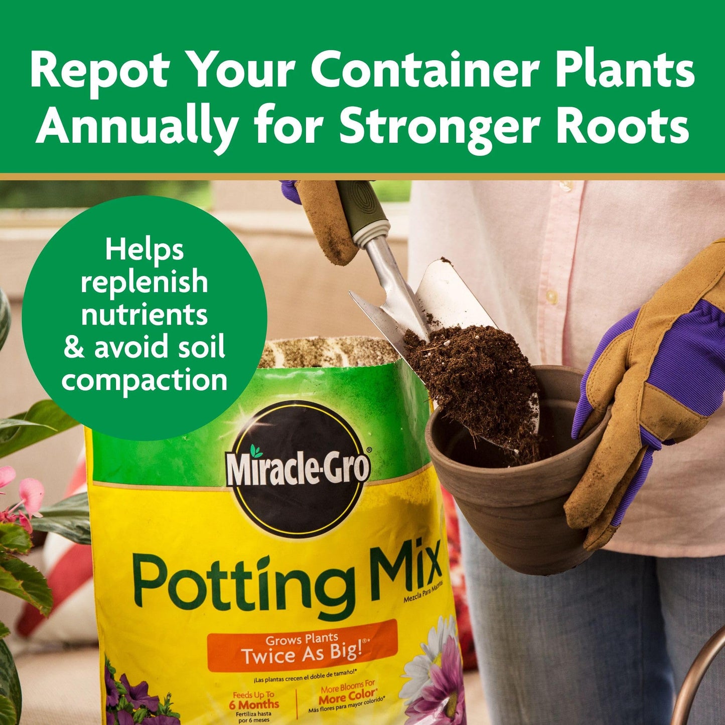 Miracle-Gro Potting Mix, For Container Plants, Flowers, Vegetables, Shrubs, Annuals, Perennials, Feeds up to 6 Months, 8 qt., 2-Pack