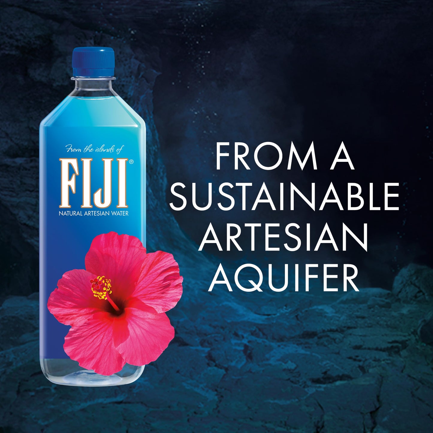 FIJI Natural Artesian Bottled Water 1 Liter / 33.8 Fl Ounce (Pack of 12) - 100% Natural Electrolytes