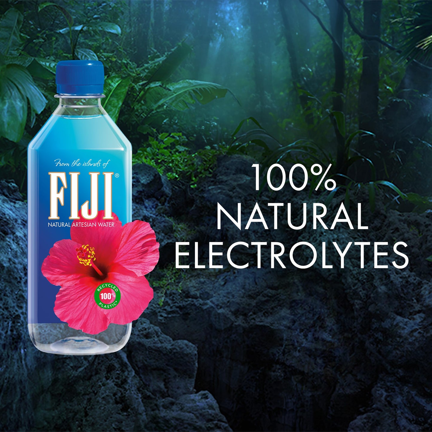 FIJI Natural Artesian Bottled Water 500mL / 16.9 Fl Ounce (Pack of 24) - 100% Natural Electrolytes