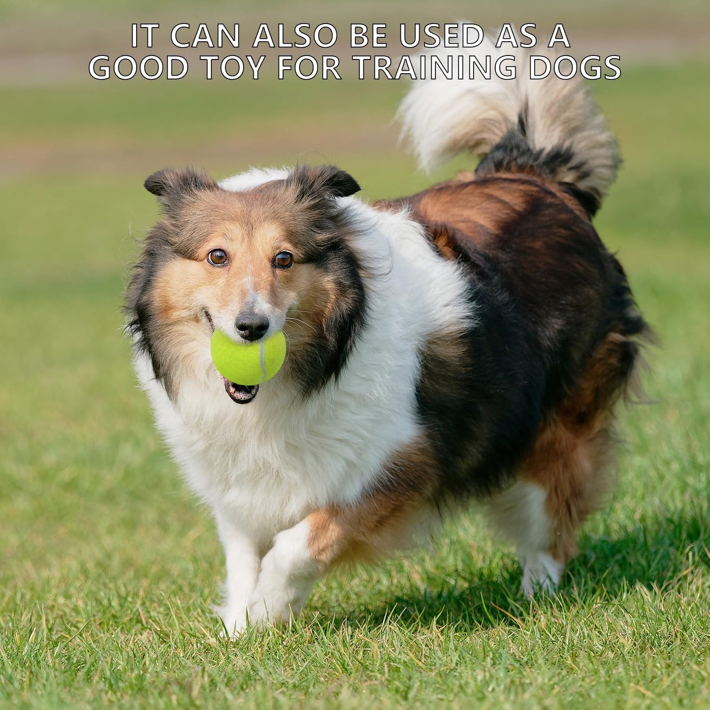 SHYUJAJIE Tennis Balls, 20 Pack Training Tennis Balls,High Elasticity Practice Tennis for Beginner, Exercise Playing Balls for Pet Dog (Yellow)