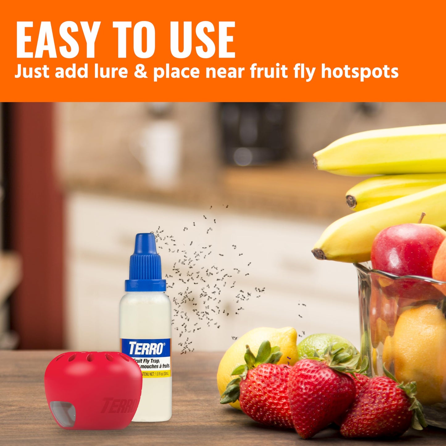 Terro Fruit Fly Traps for Indoors (6 Pack) + 270 Days of Lure Supply