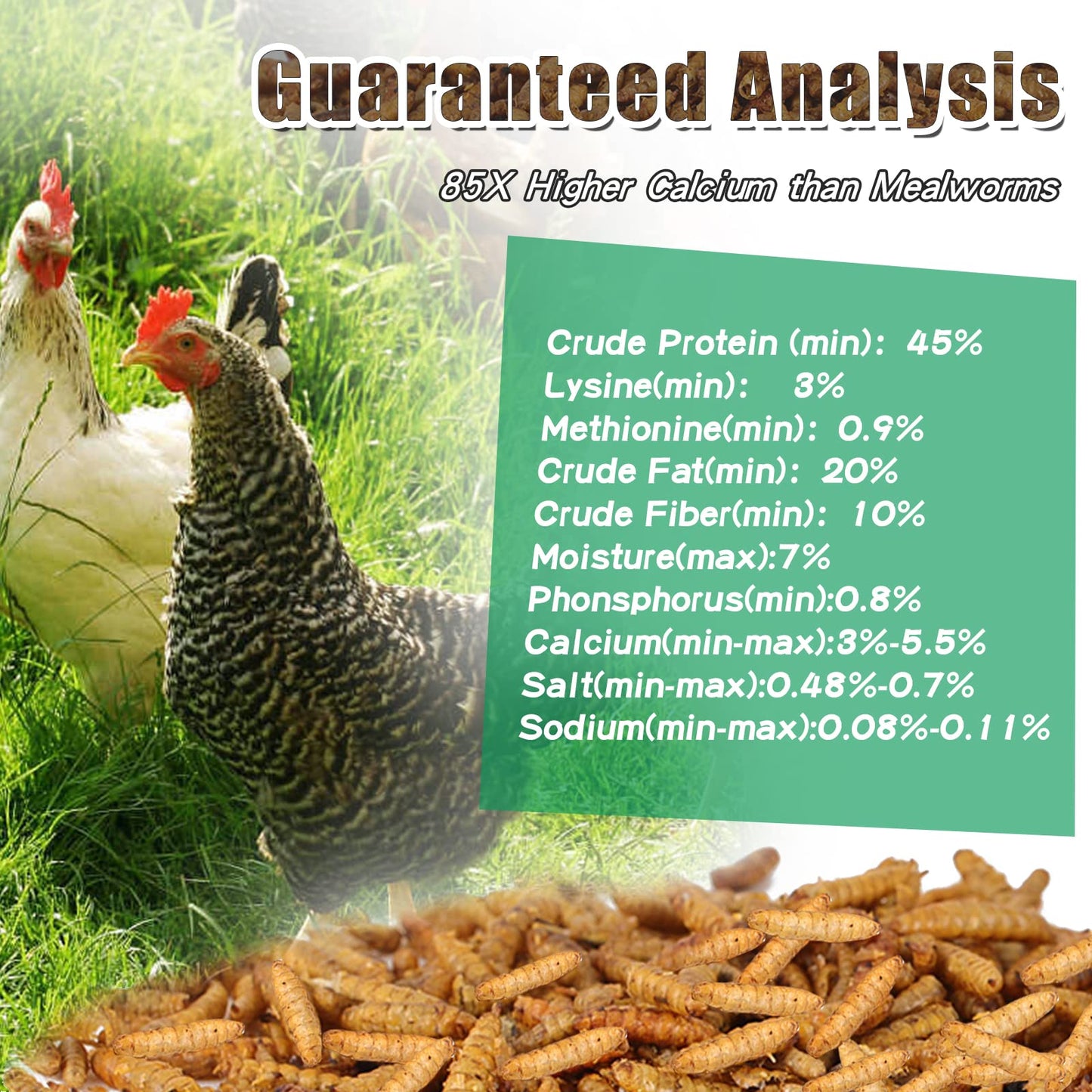 LuckyQworms Dried Black Solidier Fly Larvae 10LBS, 85X More Calcium Than Mealworms High-Protein BSF Larvae Chicken Treats Non-GMO BSFL for Chickens, Hens, Ducks, Wild Birds