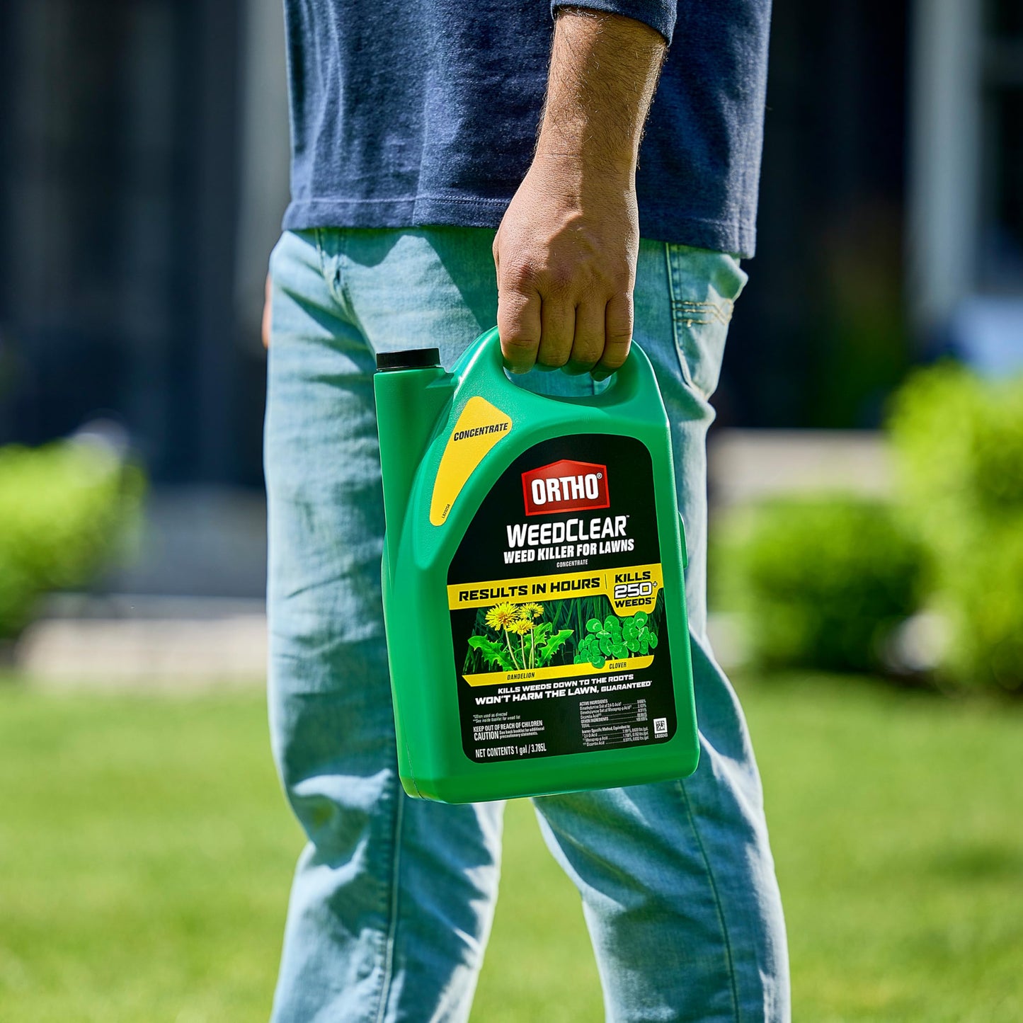 Ortho WeedClear Weed Killer for Lawns Concentrate, Kills Dandelion and Clover, 1 gal.