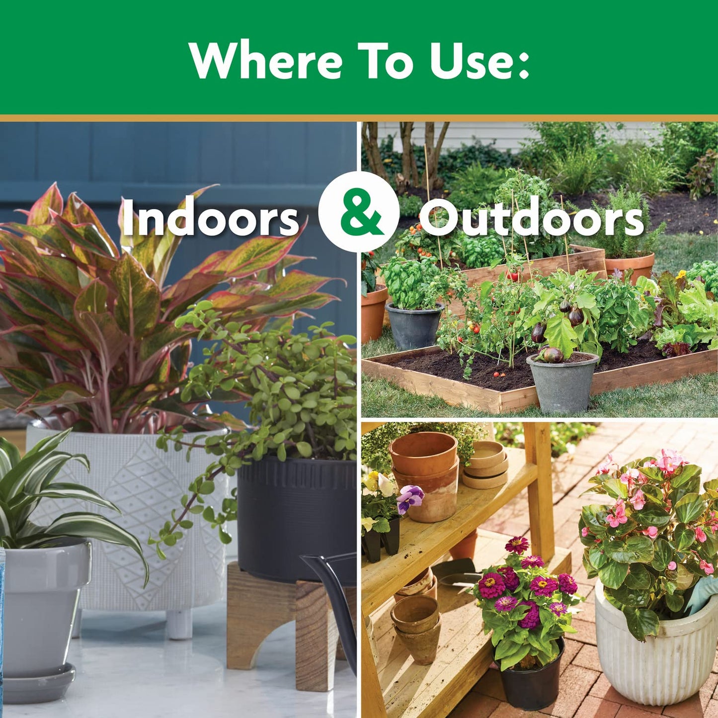 Miracle-Gro Water Soluble All Purpose Plant Food, Fertilizer for Indoor or Outdoor Flowers, Vegetables or Trees, 3 lbs.