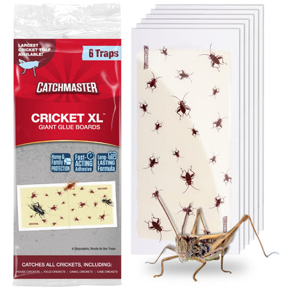 Catchmaster Cricket XL Giant Glue Boards 6-Pk, Adhesive Bug Catcher Cricket Traps Indoor, Sticky Trap for Inside Your Home, Bulk Insect Killer, Insect Traps for House & Garage, Pest Control for Home