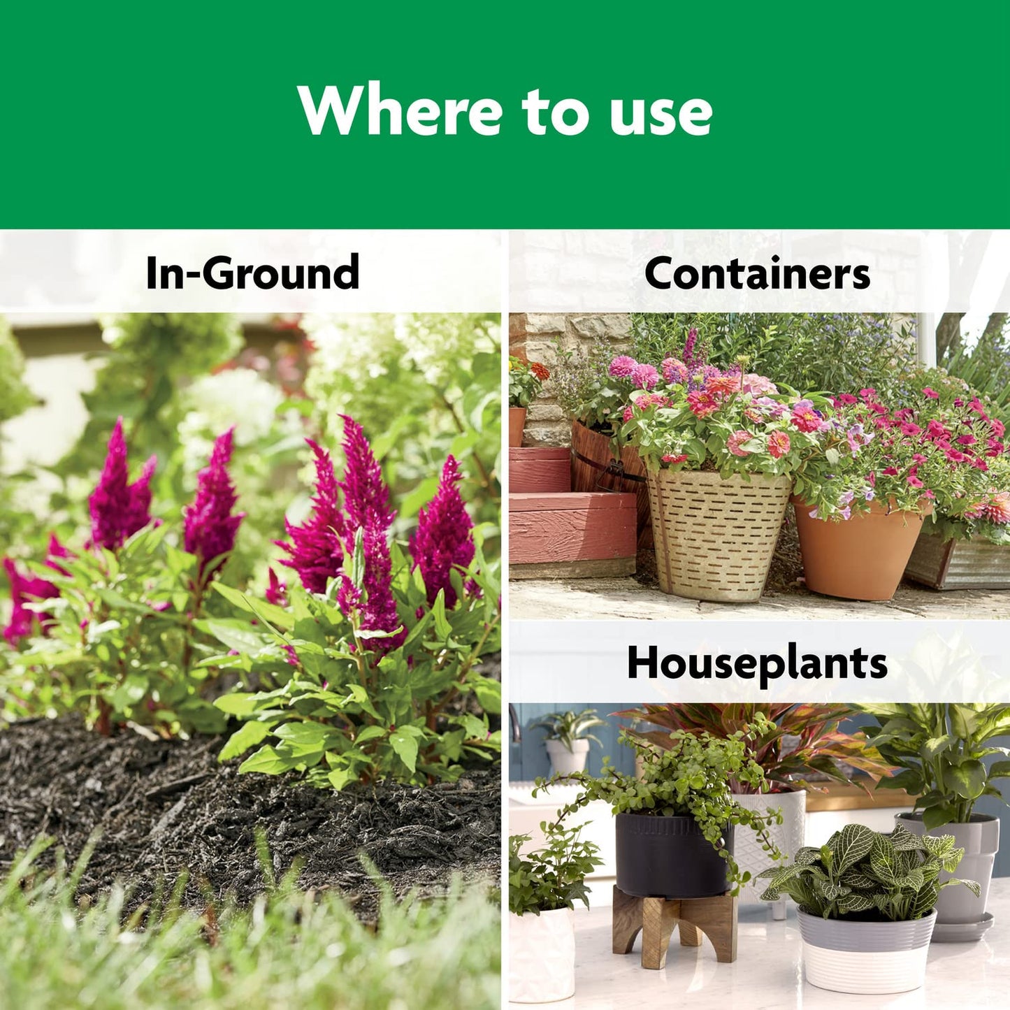 Miracle-Gro Shake 'N Feed All Purpose Plant Food, For In-Ground and Container Plants, Feeds for up to 3 Months, 4.5 lbs.