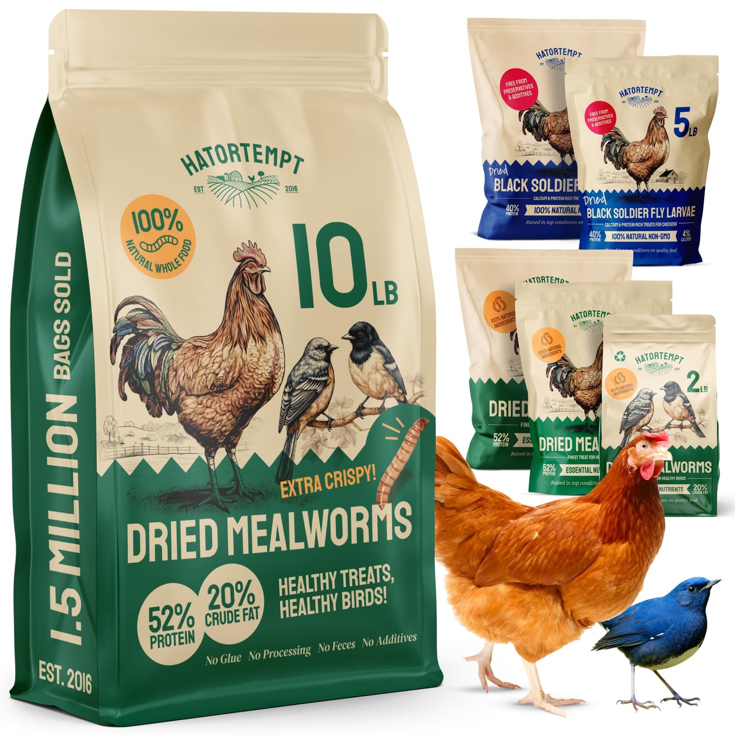 Hatortempt Bulk Dried Mealworms, 10 Lbs – Non-GMO Mealworms for Chicken & Birds - Insect Protein for Poultry Feed - Worms for Chickens, Laying Hens, Quail, Ducks - Bird Seed Alternative