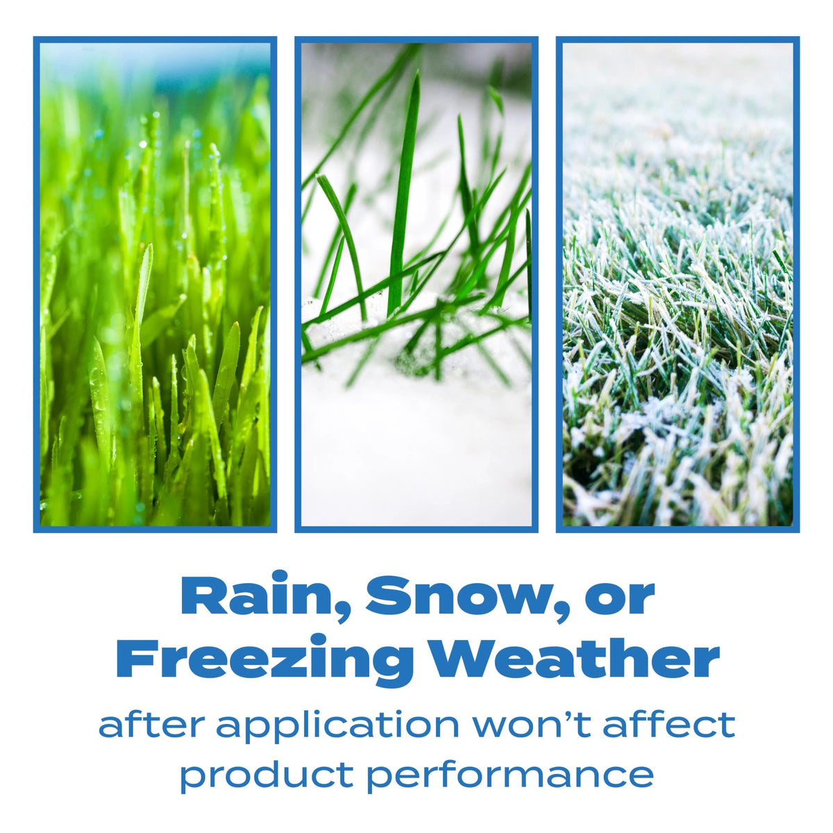 Scotts Halts Crabgrass and Grassy Weed Preventer, Crabgrass Preventer, Pre Emergent Weed Control for Lawns, Prevents Chickweed & More, Treats up to 5,000 sq. ft., 10.06 lb.