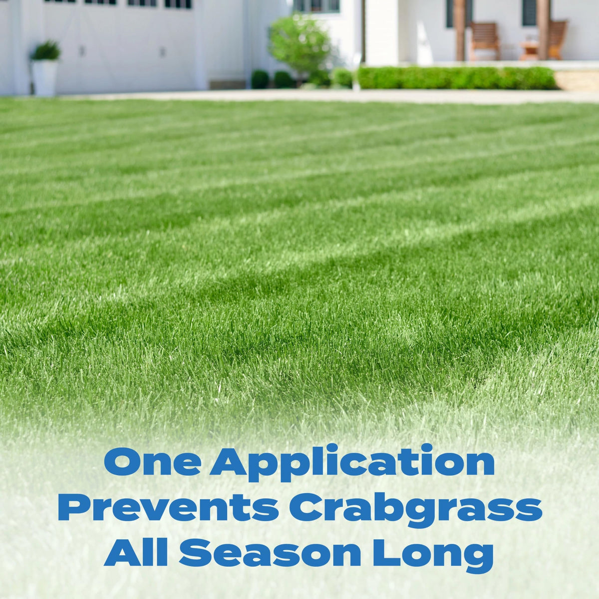 Scotts Halts Crabgrass and Grassy Weed Preventer, Crabgrass Preventer, Pre Emergent Weed Control for Lawns, Prevents Chickweed & More, Treats up to 5,000 sq. ft., 10.06 lb.