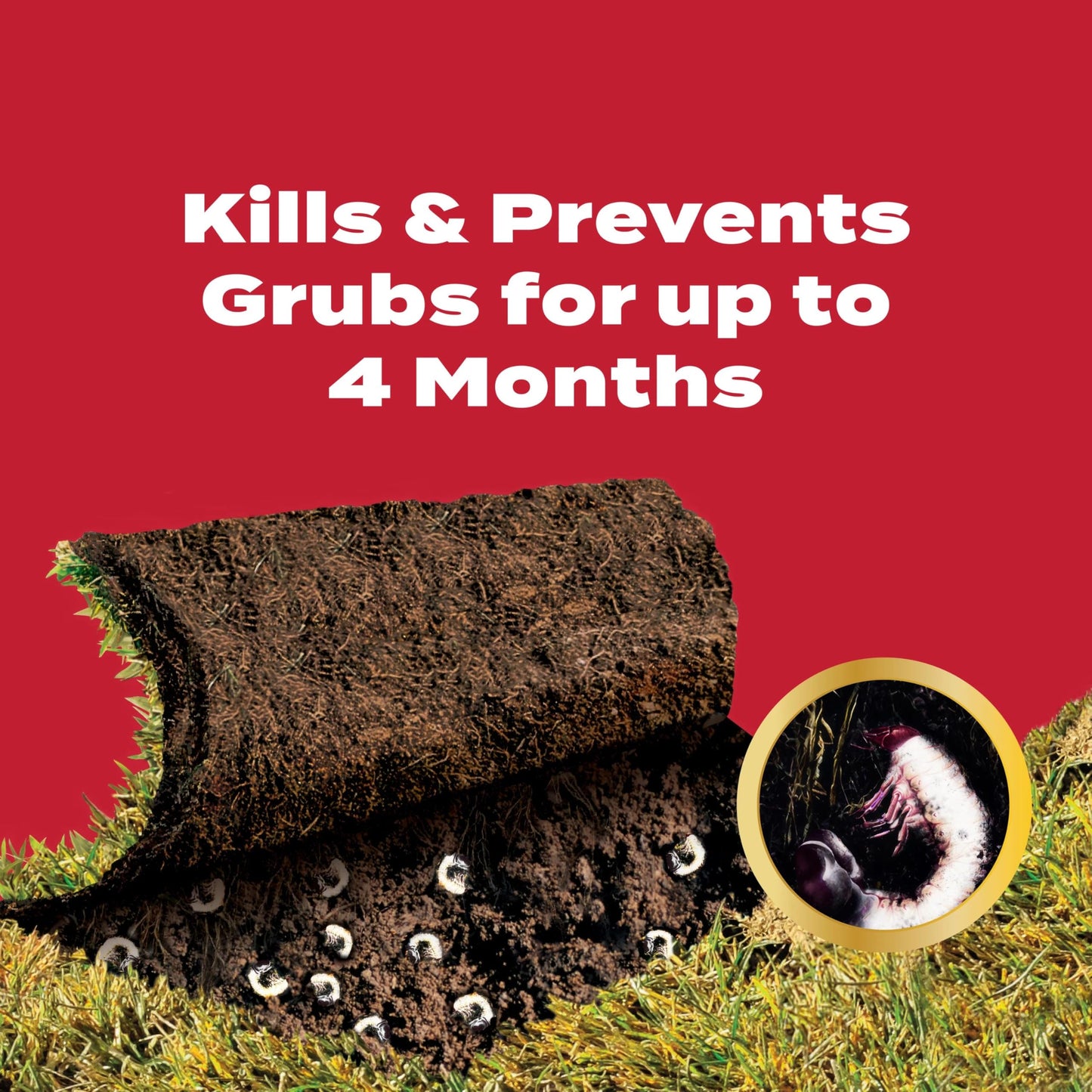 Scotts GrubEx1 Season Long Grub Killer, Protects Lawns Up to 4 Months, 5,000 sq. ft., 14.35 lbs.