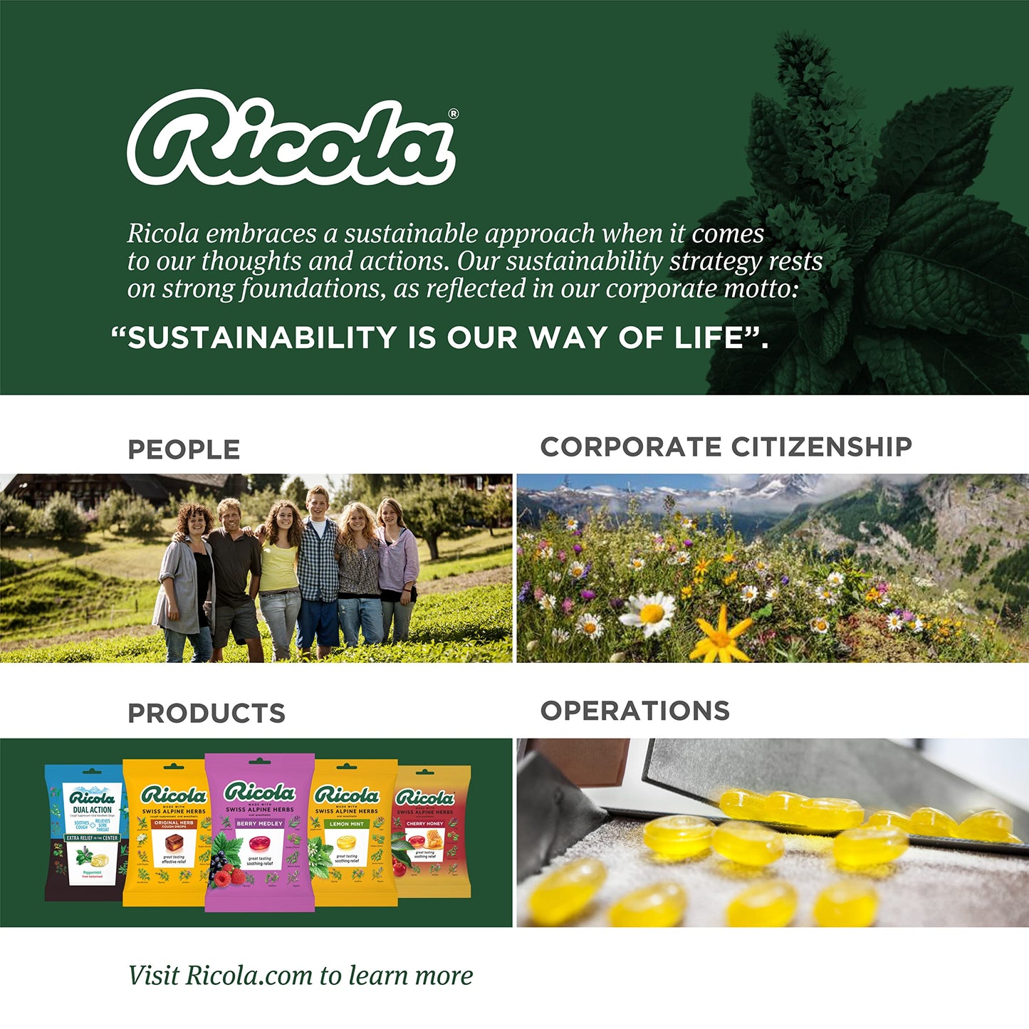 Ricola Sugar Free Swiss Herb Herbal Cough Suppressant Throat Drops, 19ct Bag (Pack of 12)