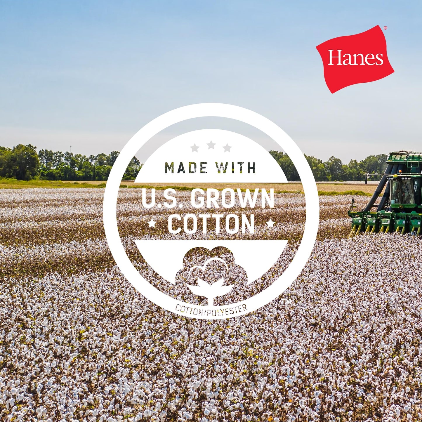 Hanes Unisex T-Shirt, Beefy Crewneck Cotton T-Shirt, Unisex Crewneck Cotton Tee, Unisex Classic Crewneck Cotton Tee