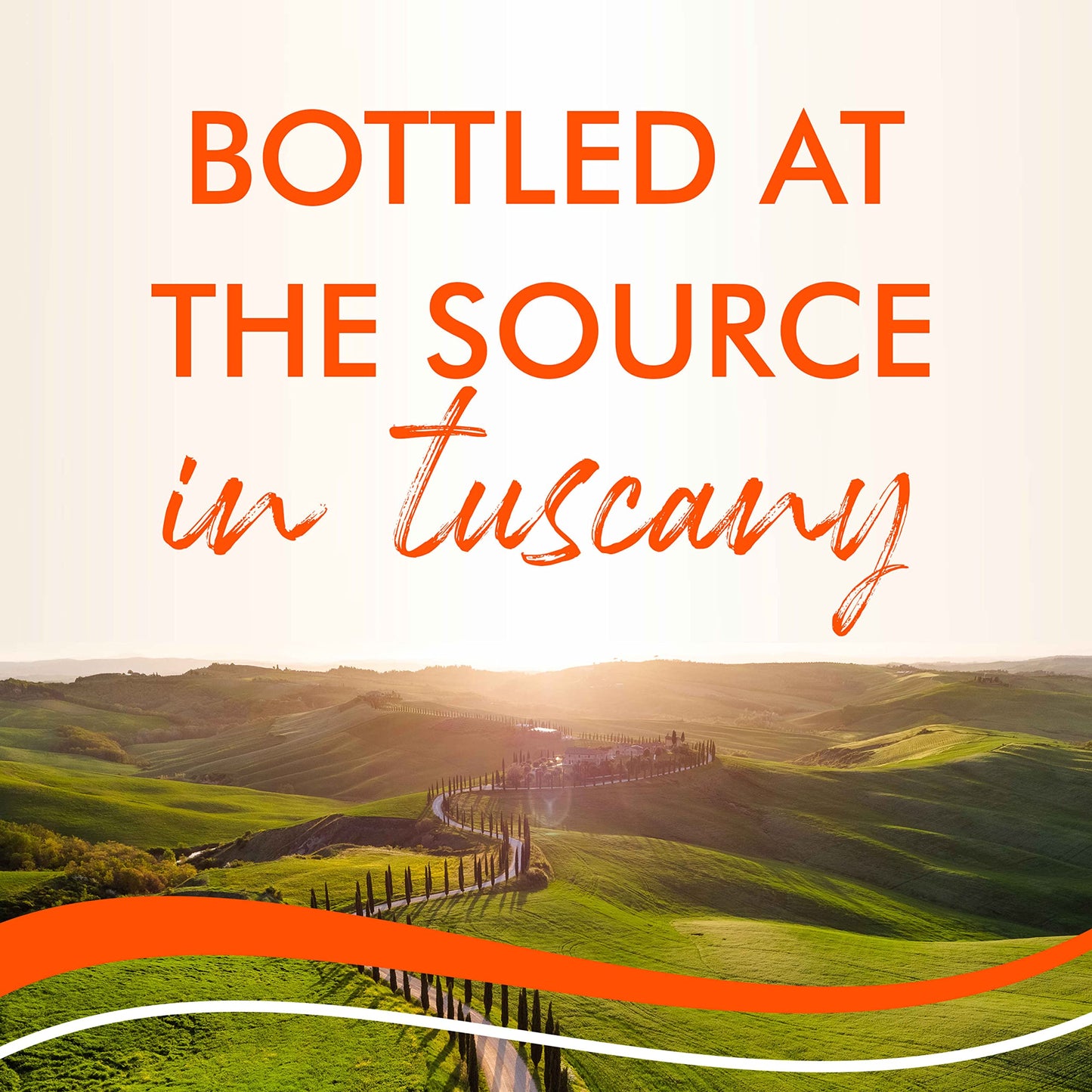 Acqua Panna Natural Spring Water, 33.8 Fl Oz (Pack of 12)