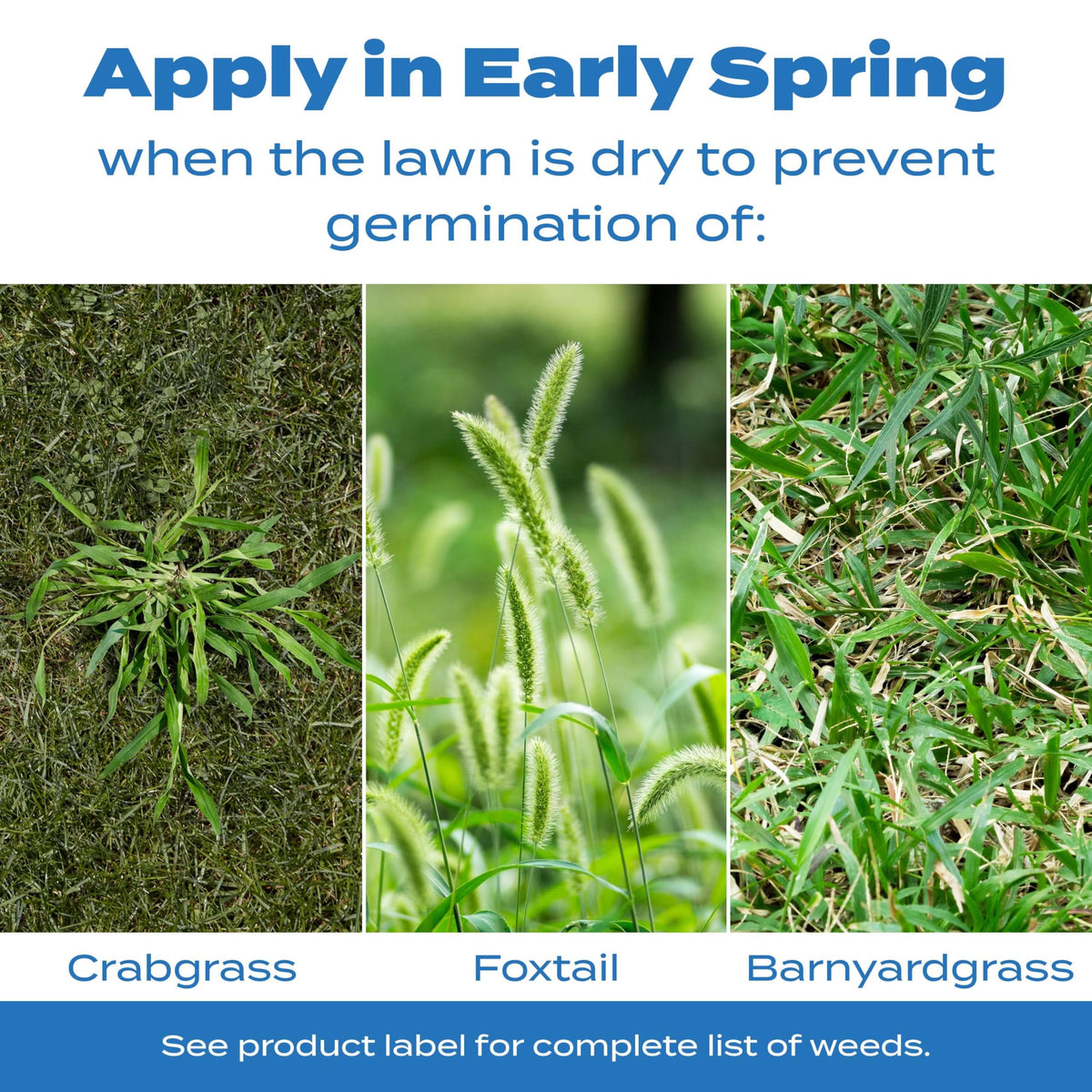 Scotts Halts Crabgrass and Grassy Weed Preventer, Crabgrass Preventer, Pre Emergent Weed Control for Lawns, Prevents Chickweed & More, Treats up to 5,000 sq. ft., 10.06 lb.