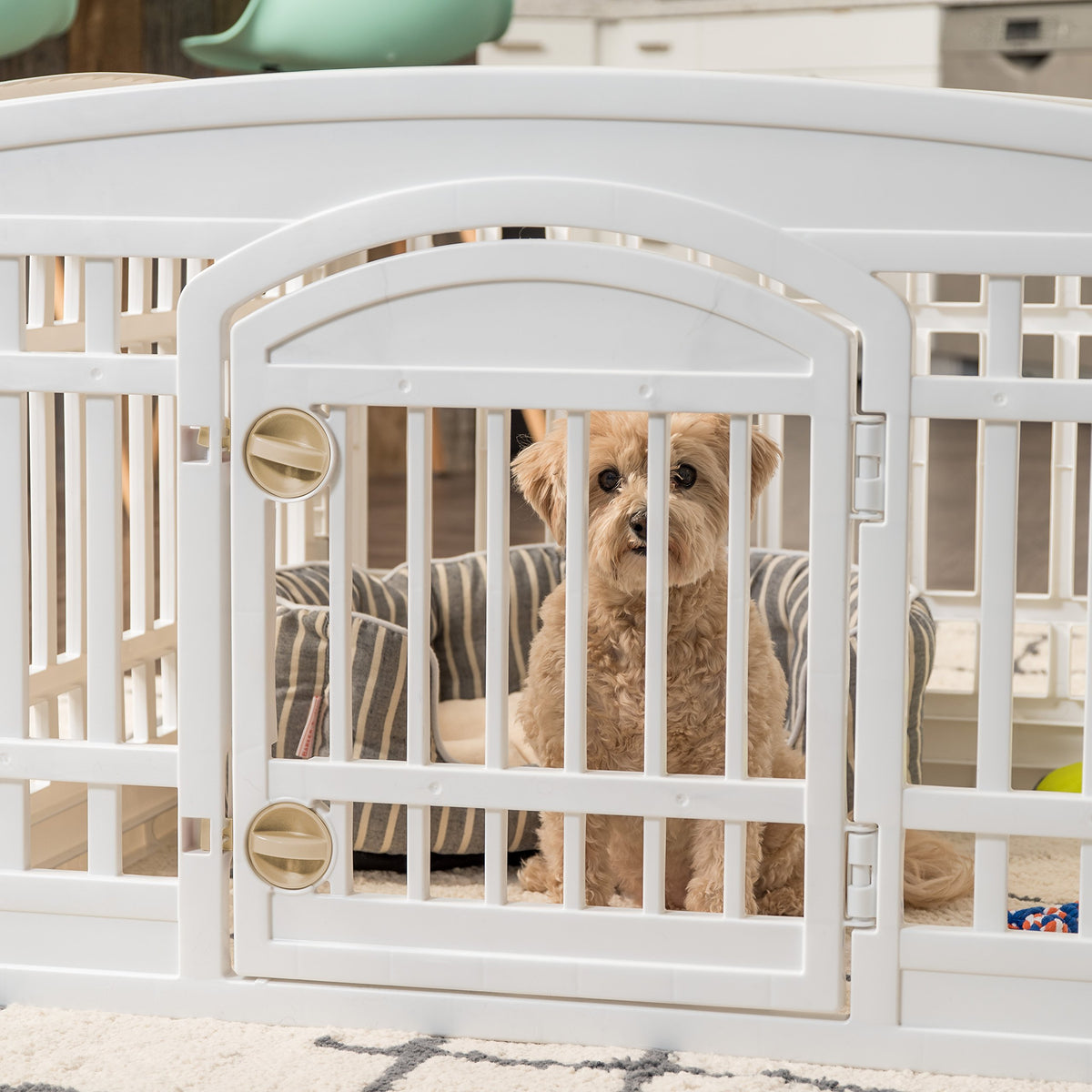 IRIS USA 24" 4-Panel Pet Dog Puppy Playpen with Door, for Puppies and Small Dogs, Keep Pets Secure, Easy Assemble, Fold It Down, Easy Storing, Customizable, White