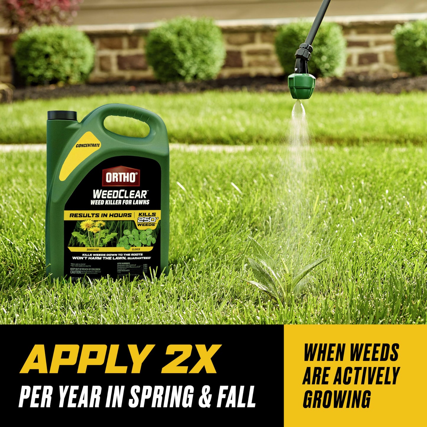 Ortho WeedClear Weed Killer for Lawns Concentrate, Kills Dandelion and Clover, 1 gal.